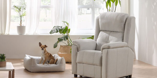 Salón con perro y butaca relax 10f-0010 color blanco