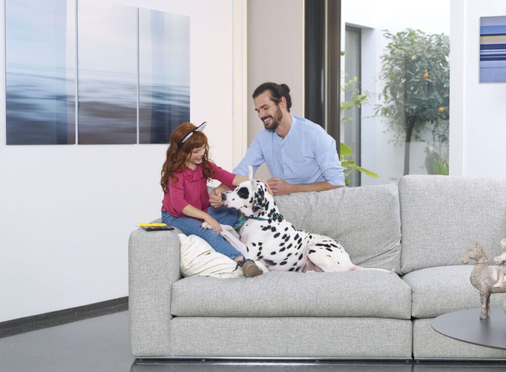 detalle uso mascotas tapizados